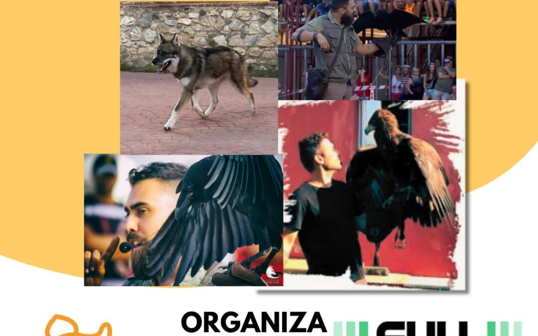 Exhibición de rapaces