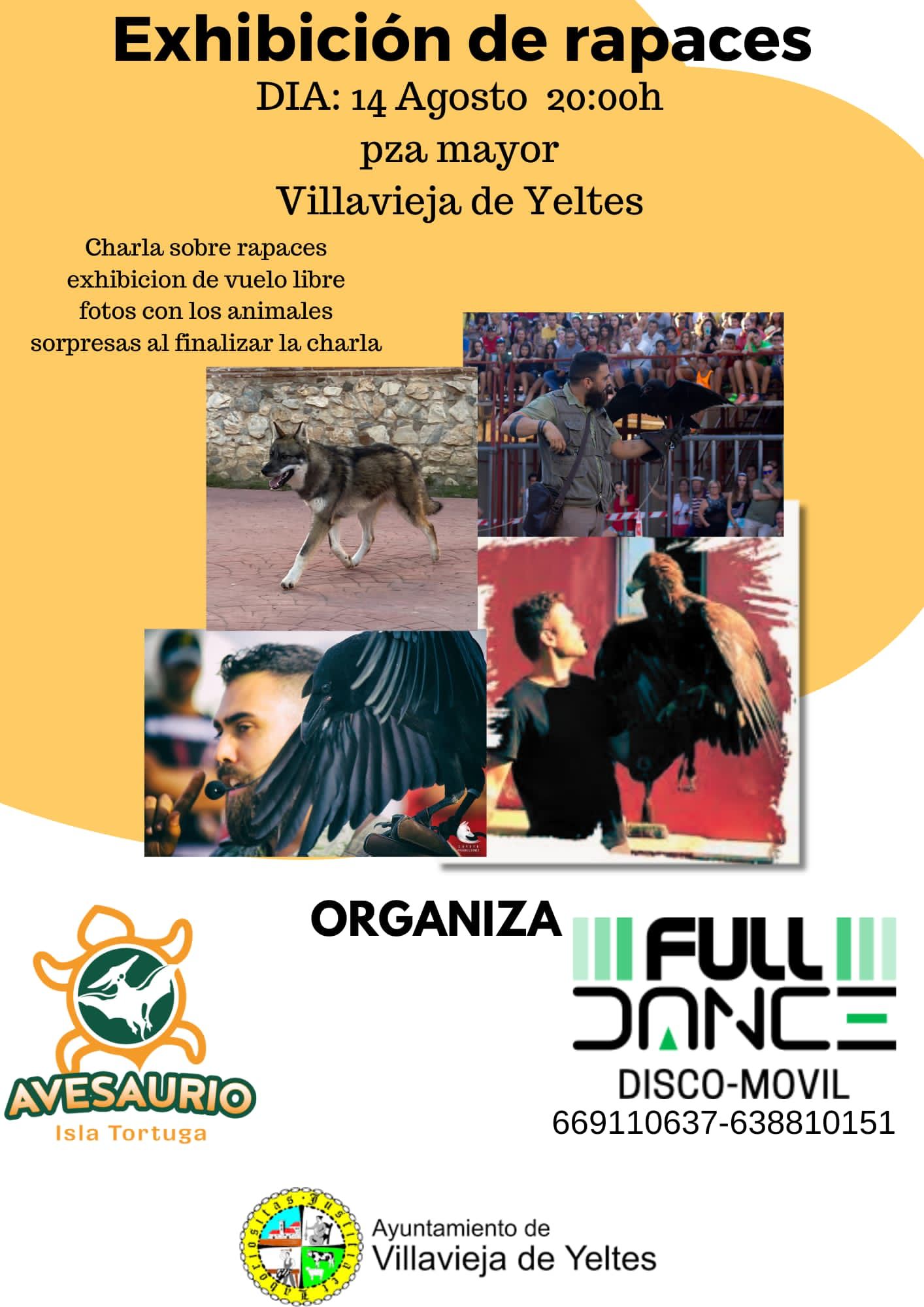 Exhibición de rapaces