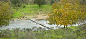 Río Yeltes