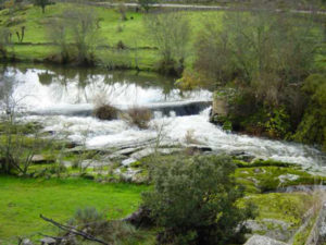 Río Yeltes