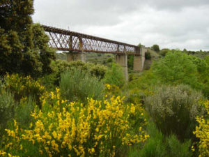 Puente de Hierro